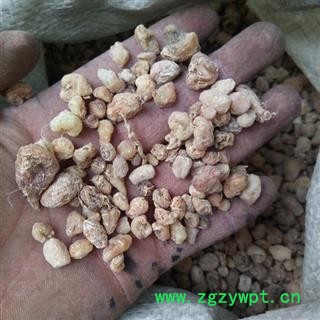 山慈菇 统货图2