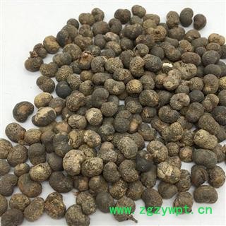吉康药业棕榈子 败棕于 棕树果 统货图2