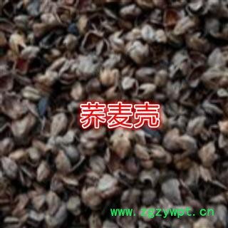 荞麦壳 荞麦皮  今年新货图2