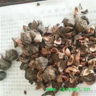 吉康药业 余甘子 土橄榄 庵摩勒 米含 望果 木波 七察哀喜 噜公膘 油甘子 滇橄榄图2