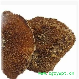 吉康药业向日葵花盘无硫图2