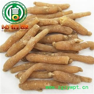 【满包邮】无须低糖红参35支散装吉林产地直供生晒参沁信源中药批发图4