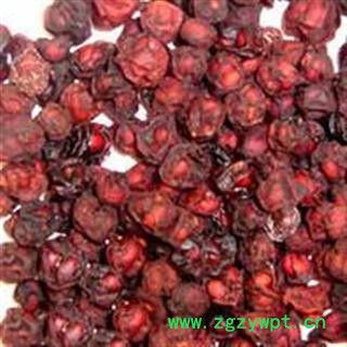 吉康药业北五味辽五味新货油子颜色漂亮图2