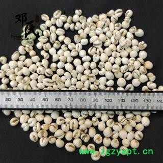 【满包邮】平贝母 小贝母 仿川贝 选货0.3 优选品质 产地直供 邓氏中药批发图3