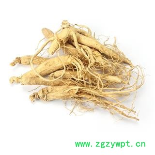 【满298元包邮】人参生晒参60支   500克1袋图3