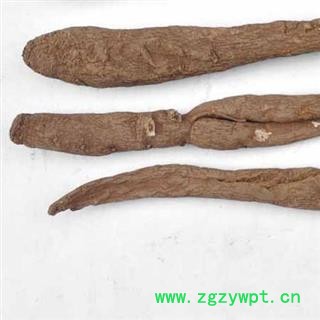 【满298元包邮】当归 甜当归中个 产地 四川省 0.5公斤一袋图2