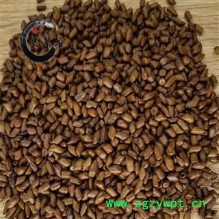 国产决明子统货  产地河南 药典标准 地道良药馆1000克直销图4