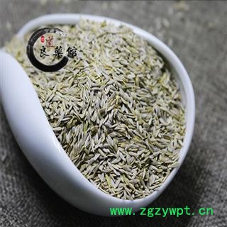 生菜籽净货 白巨胜 莴苣子 莴苣籽 生菜子药典标准 地道良药馆1000克直销图4