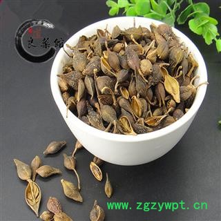 连翘 老翘（黄翘）选货 过筛无碎末 药典标准 地道良药馆 1000克产地直销图3