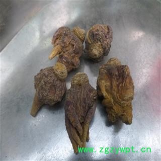 紫玛卡 紫玛咖 选装 产地 云南省丽江市玉龙纳西族自治县图2