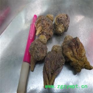 紫玛卡 紫玛咖 选装 产地 云南省丽江市玉龙纳西族自治县图3