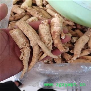 白参 大选个 人参  产地 吉林省通化市图3