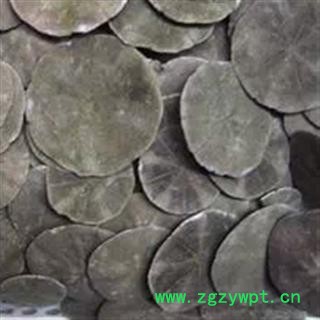 吉康药业中药材 海金钱 海子图2