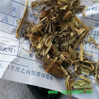 吉康药业南瓜蔓 南瓜藤 番瓜藤 盘肠草 南瓜苗今年新货图2