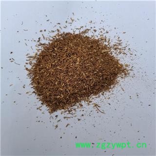 当归 沫子 产地 甘肃省图3