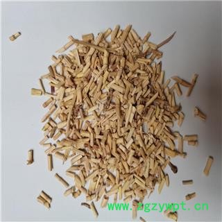 白茅根 01统 产地 安徽省马鞍山市花山区图2