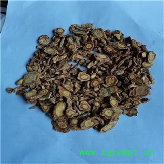 防风 02片 产地 河北省图2