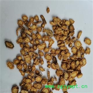 防风 02片 产地 河北省图3