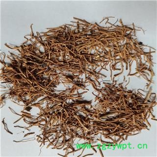 徐长卿 统 产地 安徽省淮南市谢家集区图2