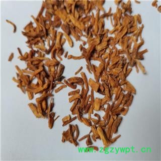 秦艽 01统 产地 云南省昭通市大关县图3