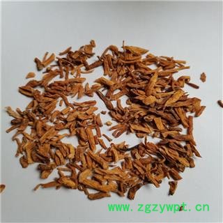 秦艽 01统 产地 云南省昭通市大关县图2