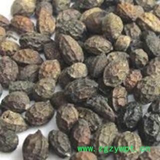 鸦胆子 老鸦胆 苦榛子 苦参子 小苦楝图2