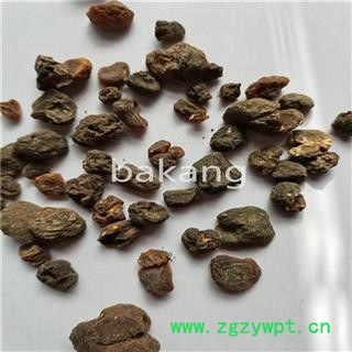 土贝母 01统 产地 河北省保定市安国市图2