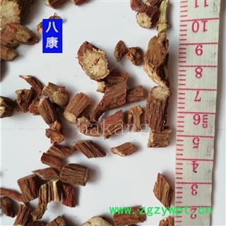 丹参 02中段 丹参中统段 产地 河北省保定市安国市图3