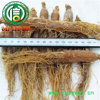 【满包邮】带须低糖红参25支散装吉林产地直供生晒参沁信源中药批发图2