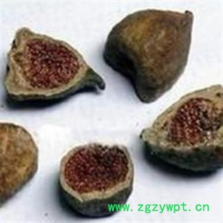吉康药业 木馒头  薜荔  鬼馒头 凉粉子 木莲 凉粉果图2