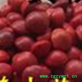 【满包邮】花粉天麻三级平均10~20克统货散装云南昭通产地直供花粉麻沁信源中药批发图2