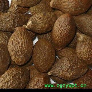 大海 胖大海圆粒统货 产地 海外图2