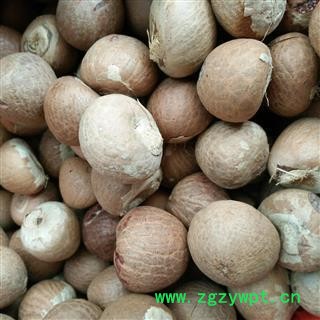 槟榔  槟榔球 槟榔个 大白个 无虫蛀无霉变 今年新货 纯干货 产地 广西壮族自治区图2