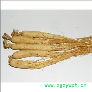 【满298元包邮】人参 生晒参45支 500克一盒  产地 吉林省图2