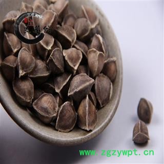 辣木籽 进口辣木籽选装 产地印度 药典标准地道良药馆1000克直销图4