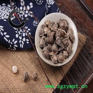 辣木籽 进口辣木籽选装 产地印度 药典标准地道良药馆1000克直销图3