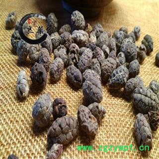 进口砂仁米统货 药典标准地道良药馆1000克直销图2