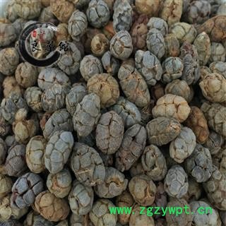 进口砂仁米统货 药典标准地道良药馆1000克直销图3