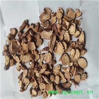 苦参 0.5-1.4统 产地 内蒙古自治区通辽市科尔沁左翼后旗图2