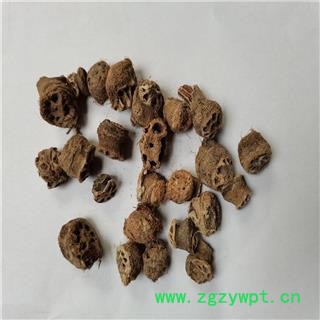 藕节 01统 产地 山东省烟台市图2