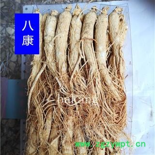 人参 白全参 40支=500克 白参图2