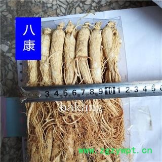 人参 白全参 40支=500克 白参图3