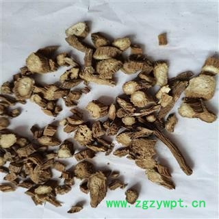 牛蒡根 段统 产地 山东省烟台市图2