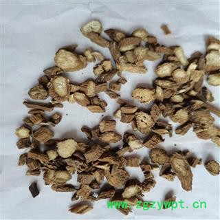 牛蒡根 段统 产地 山东省烟台市图3