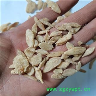 麦冬 瘪片 产地 四川省绵阳市图3