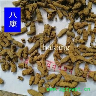 巴戟肉 肉01统图2