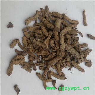 巴戟肉 肉01统图3