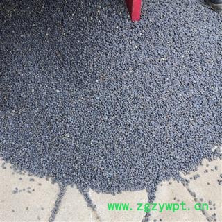 女贞子 女贞子圆果净货 产地 河南省平顶山市汝州市图3