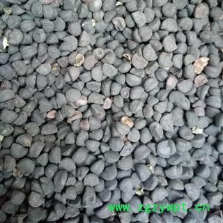 野生牵牛子 牵牛子黑丑统货 产地 河南省平顶山市汝州市图2