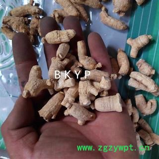 西洋参粒头约3克图2